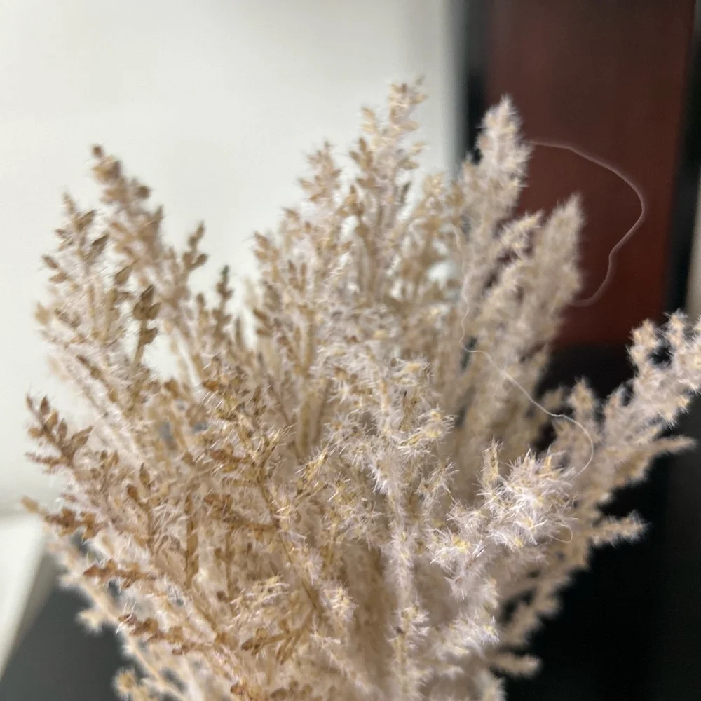 Natural Dried Grass in White Pot new